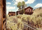 MT Bannack 6
