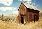 MT Bannack 8
