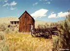 MT Bannack 9